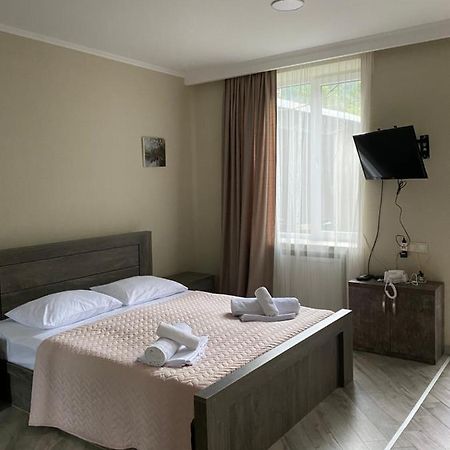 Nikani1 Borjomi Dış mekan fotoğraf